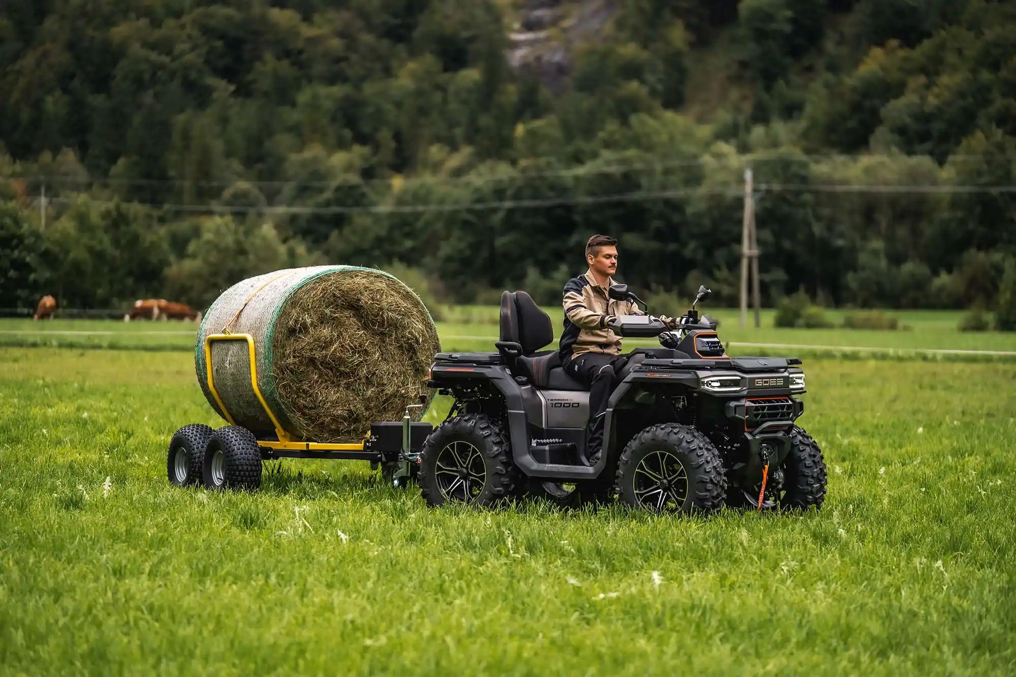 Quads GOES à Quimper | Atelier LE BERRE