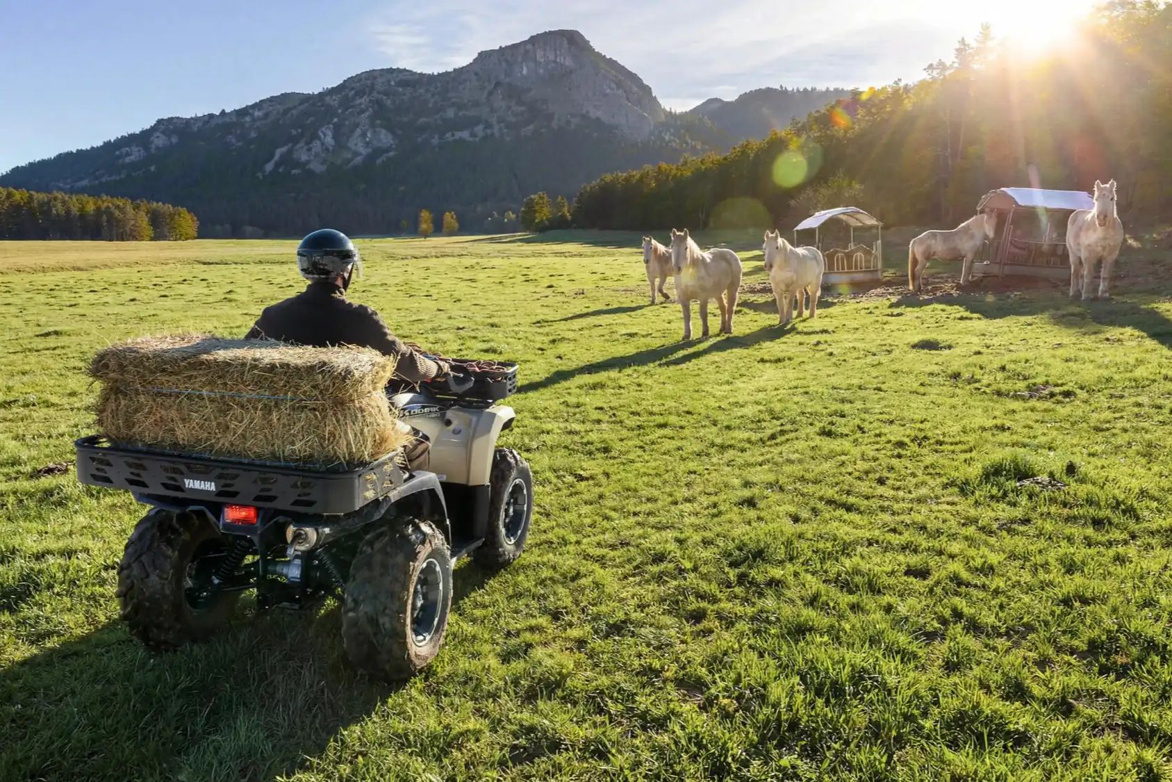 Le summum du quad utilitaire de moyenne cylindrée